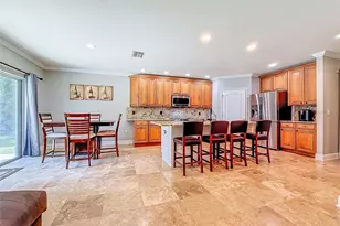 420 Hartford Hts St, Spring Hill, FL 34609 - Photo 53