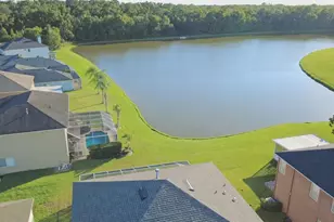25644 Frith St, Land O Lakes, FL 34639 - Photo 49