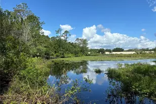 28651 Tupper Rd, Wesley Chapel, FL 33545 - Photo 33