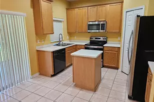 1147 Emerald Hill Way, Valrico, FL 33594 - Photo 13
