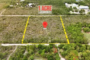 Racoon Run, Big Pine Key, FL 33043 - Photo 1