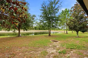 6748 Holly Heath Dr, Riverview, FL 33578 - Photo 29