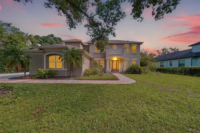 9244 Rhea Drive, Odessa, FL 33556 - Photo 3
