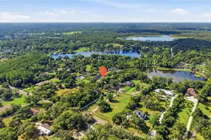 9244 Rhea Dr, Odessa, FL 33556 - Photo 51