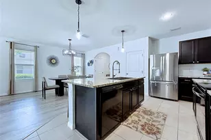 16599 Secret Meadow Dr, Odessa, FL 33556 - Photo 5
