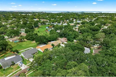 341 Arbor Drive W, Palm Harbor, FL 34683 - Photo 47