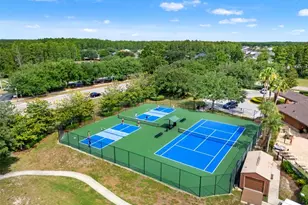 17535 Balmaha Dr, Land O Lakes, FL 34638 - Photo 57