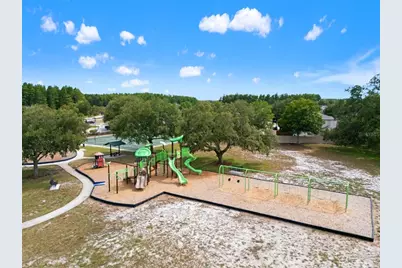 17535 Balmaha Drive, Land O Lakes, FL 34638 - Photo 47