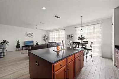 17535 Balmaha Drive, Land O Lakes, FL 34638 - Photo 17