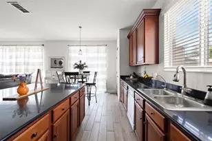 17535 Balmaha Dr, Land O Lakes, FL 34638 - Photo 21