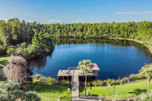 8711 Preston Woods Ct, Land O Lakes, FL 34638 - Photo 49