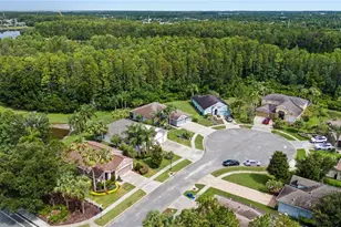 8711 Preston Woods Ct, Land O Lakes, FL 34638 - Photo 43