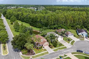 8711 Preston Woods Ct, Land O Lakes, FL 34638 - Photo 41