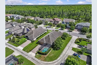 13353 Batten Lane, Odessa, FL 33556 - Photo 47
