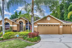 29135 Rivergate Run, Wesley Chapel, FL 33543 - Photo 1