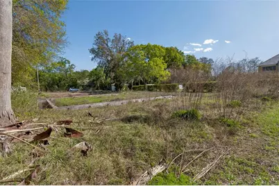 8715 Brooke Angela Drive, Odessa, FL 33556 - Photo 9