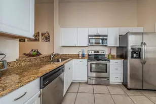 3165 Phlox Dr, Palm Harbor, FL 34684 - Photo 5