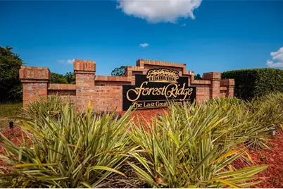 1805 Wood Bend Street, Tarpon Springs, FL 34689 - Photo 1