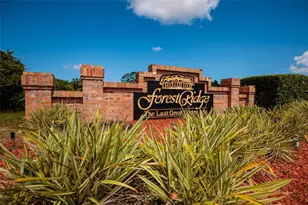 1805 Wood Bend St, Tarpon Springs, FL 34689 - Photo 1