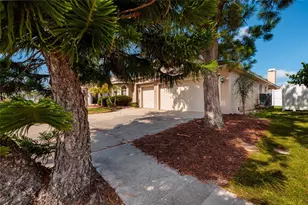 1805 Wood Bend St, Tarpon Springs, FL 34689 - Photo 31
