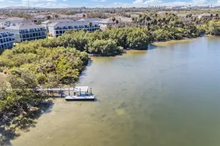 4731 Tuscan Loon Dr, Tampa, FL 33619 - Photo 47