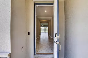 11716 Navajo Sandstone St, Riverview, FL 33579 - Photo 77