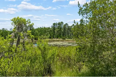 7629 Broad River Avenue, Land O Lakes, FL 34638 - Photo 65
