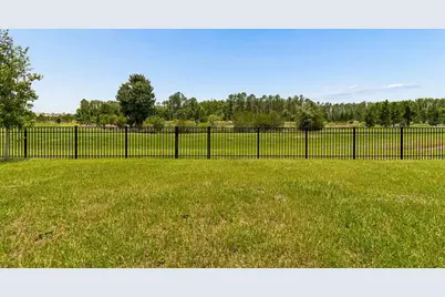 7629 Broad River Avenue, Land O Lakes, FL 34638 - Photo 3