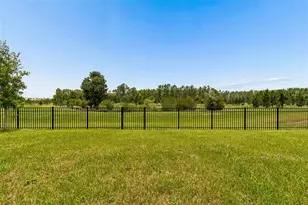 7629 Broad River Ave, Land O Lakes, FL 34638 - Photo 3