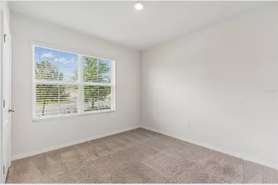 35525 Stella Vast Drive, Zephyrhills, FL 33541 - Photo 5