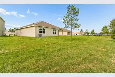 35525 Stella Vast Drive, Zephyrhills, FL 33541 - Photo 49