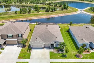 7677 Broad River Ave, Land O Lakes, FL 34638 - Photo 5