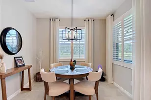 7677 Broad River Ave, Land O Lakes, FL 34638 - Photo 31