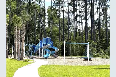 7677 Broad River Avenue, Land O Lakes, FL 34638 - Photo 87