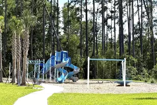 7677 Broad River Ave, Land O Lakes, FL 34638 - Photo 87