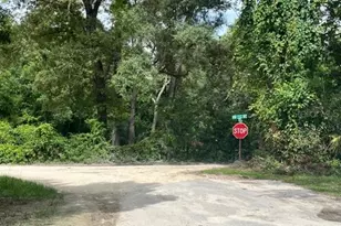 11012 NW 113 Pl, Chiefland, FL 32626 - Photo 37