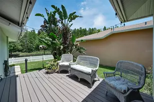 10403 Micanopy St, New Port Richey, FL 34655 - Photo 47