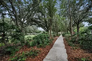10403 Micanopy St, New Port Richey, FL 34655 - Photo 67