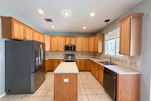 3518 Braemar St, Land O Lakes, FL 34638 - Photo 7