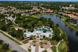 12018 Cardinal Flower Dr, Riverview, FL 33579 - Photo 51