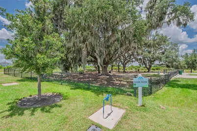 10706 Torchwood Sea Way, San Antonio, FL 33576 - Photo 53