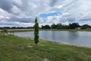 9436 Scouter Bee Pl, Land O Lakes, FL 34637 - Photo 23