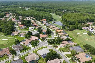 1319 Forestedge Blvd, Oldsmar, FL 34677 - Photo 61