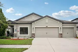 8210 Mallow Mirror Ln, Land O Lakes, FL 34637 - Photo 1