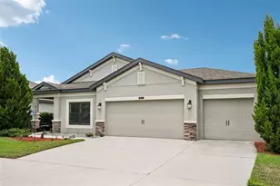 8210 Mallow Mirror Ln, Land O Lakes, FL 34637 - Photo 47