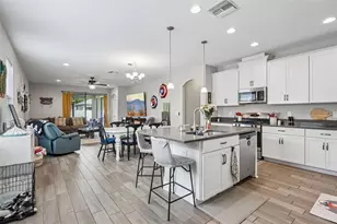 8210 Mallow Mirror Ln, Land O Lakes, FL 34637 - Photo 9
