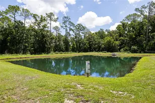 7429 Ibis Dr, Lakeland, FL 33810 - Photo 39