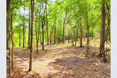 Fitzhugh Avenue, Brooksville, FL 34601 - Photo 3