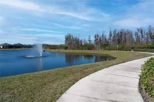 18466 Coastal Shr Ter, Land O Lakes, FL 34638 - Photo 73