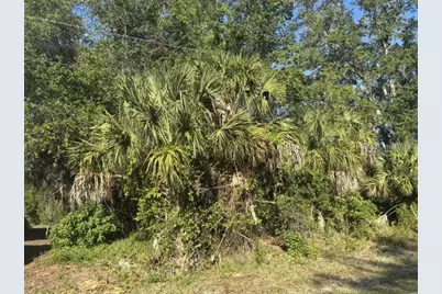 Abate Avenue, North Port, FL 34288 - Photo 5